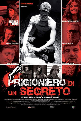 Prigioniero di un segreto movie poster
