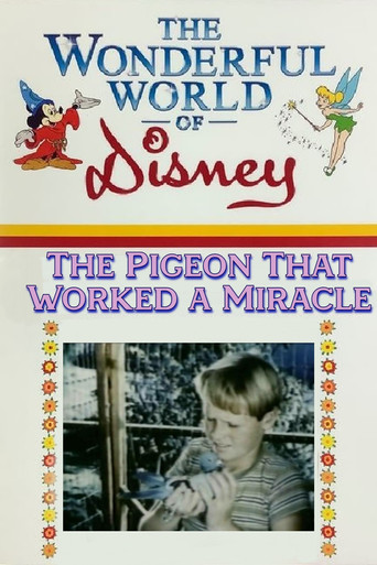 The Pigeon That Worked a Miracle movie poster