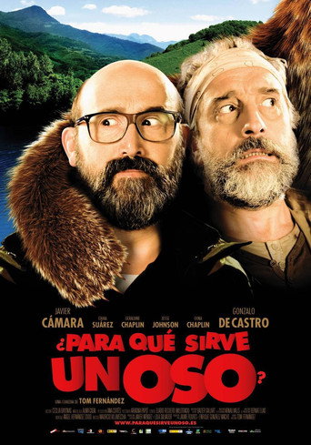 What's a Bear For? movie poster