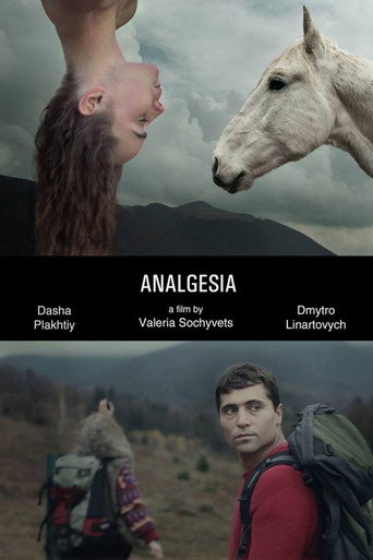 Analgesia movie poster