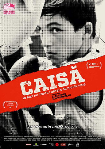 Caisă movie poster