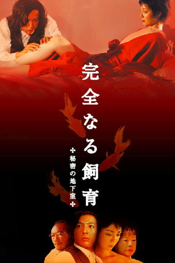 Perfect Education 4: Secret Basement movie poster