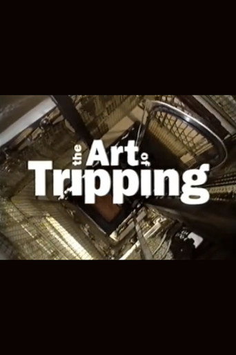 The Art of Tripping movie poster