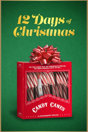 12 Days of Christmas movie poster