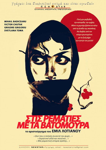 The Red Meadows movie poster