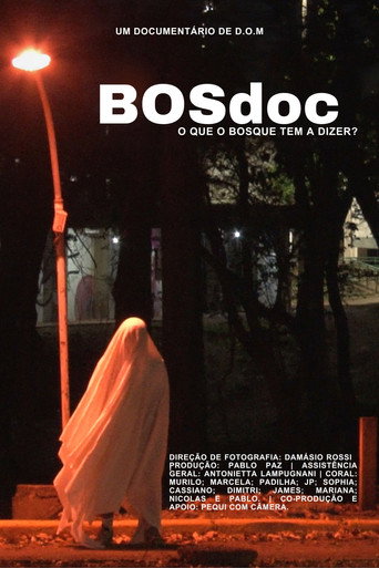 BOSdoc movie poster
