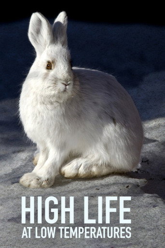 High Life at Low Temperatures movie poster