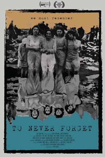 To Never Forget movie poster
