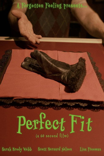 Perfect Fit movie poster