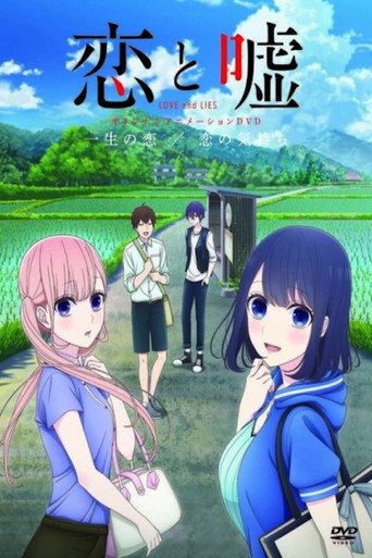 Love and Lies: Love of a Lifetime/Feelings of Love movie poster