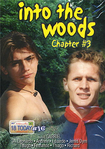 18 Today International 16: Into the Woods 3 movie poster