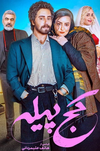 The Crooked Cocoon movie poster