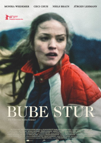 Stubborn Boy movie poster