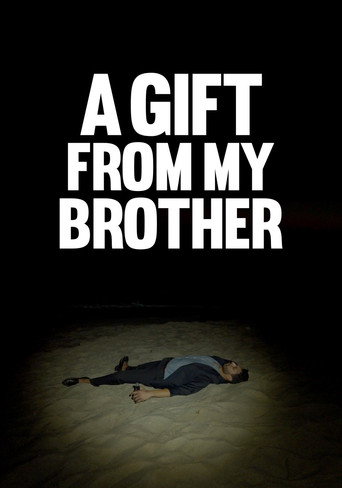 A Gift from My Brother movie poster
