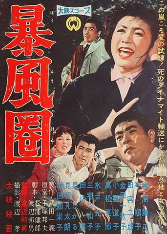 A Storm Zone movie poster