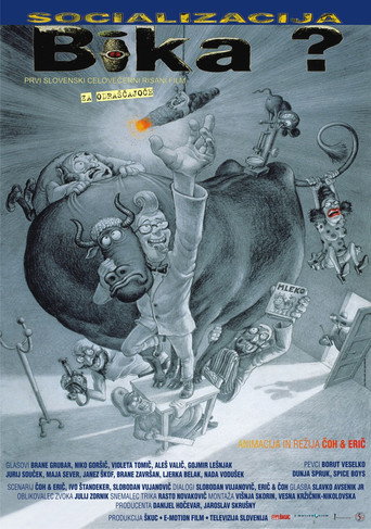 Socializing The Bull? movie poster