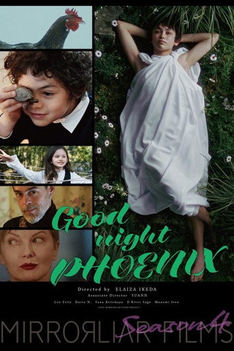 Good night PHOENIX movie poster