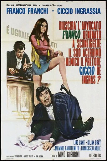 Will the Lawyer Franco Benenato Be Able to Defeat his Arch Enemy the Magistrate Ciccio De Ingras? movie poster