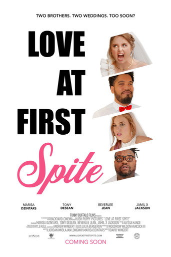 Love at First Spite movie poster