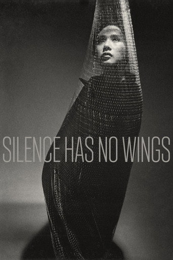 Silence Has No Wings movie poster