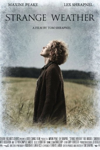 Strange Weather movie poster