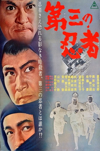 The Third Ninja movie poster