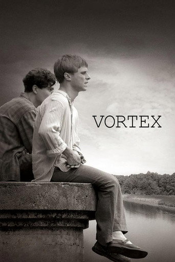 Vortex movie poster
