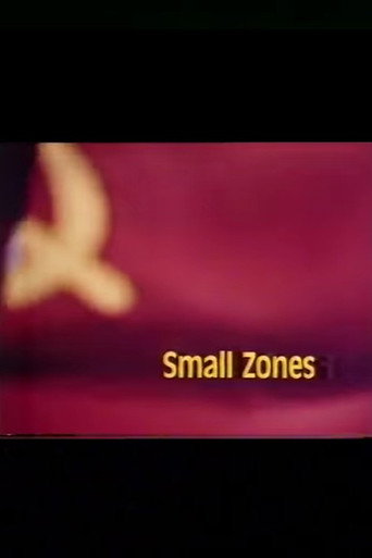Small Zones movie poster