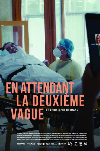 En attendant la deuxième vague movie poster