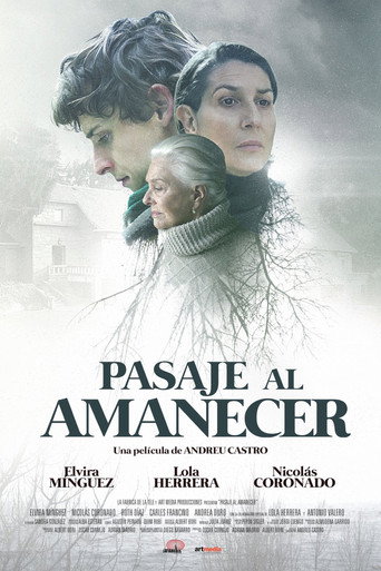 Pasaje al amanecer movie poster
