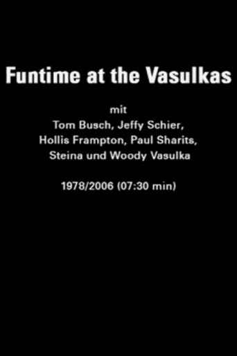Funtime at the Vasulkas movie poster
