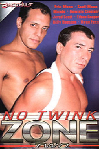 No Twink Zone 2 movie poster