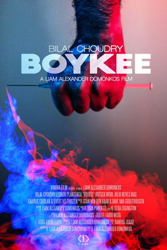 Boykee movie poster