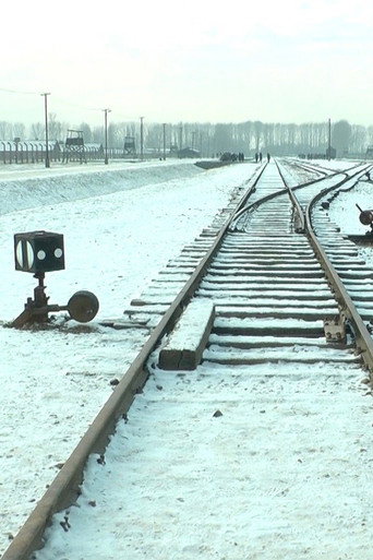 19 876 Steps in Auschwitz / Birkenau movie poster
