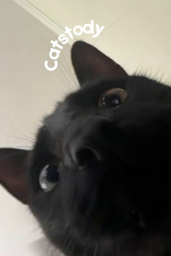 Catstody movie poster