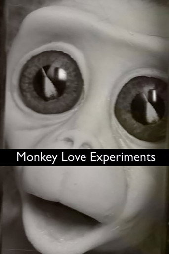 Monkey Love Experiments movie poster