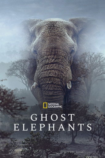 Ghost Elephants movie poster