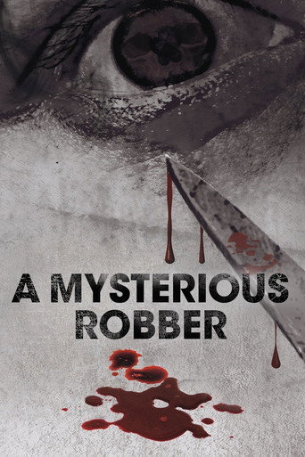 A Mysterious Robber movie poster