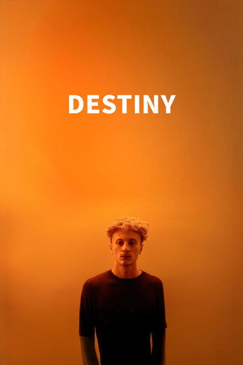 Destiny movie poster