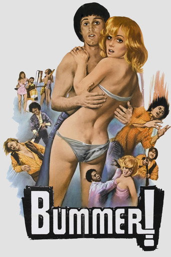Bummer movie poster