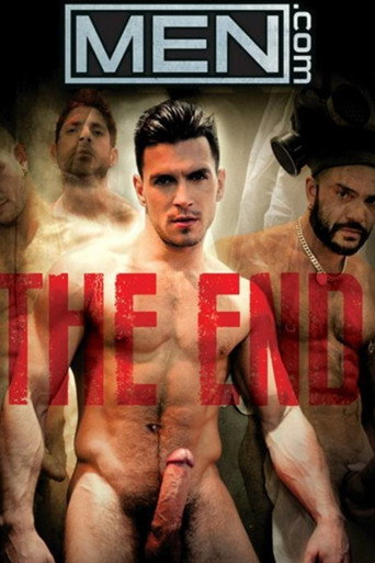 The End movie poster