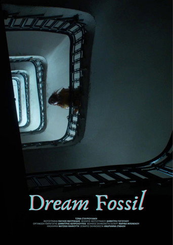 Dream Fossil movie poster