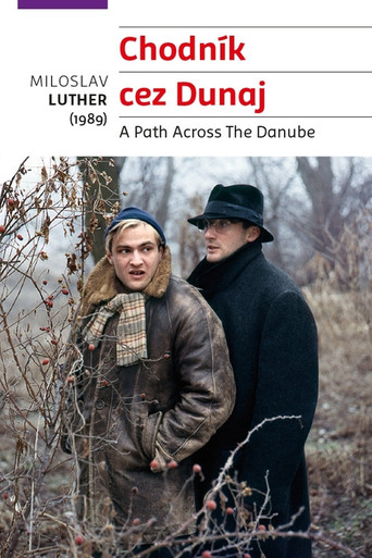 A Path Across the Danube movie poster