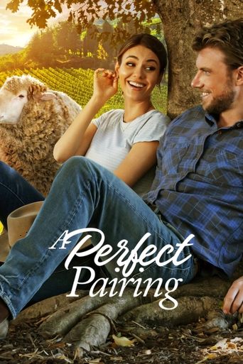 A Perfect Pairing movie poster