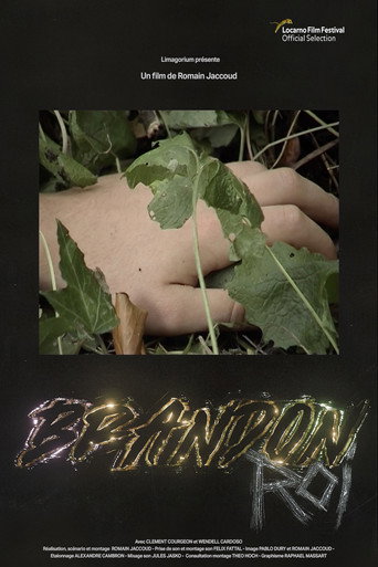 Brandon Roi movie poster