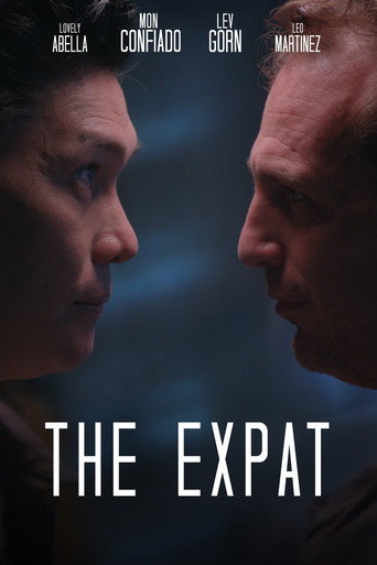 The Expat movie poster