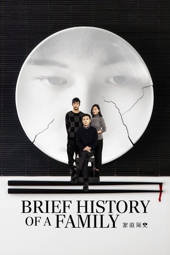 Brief History of a Family movie poster