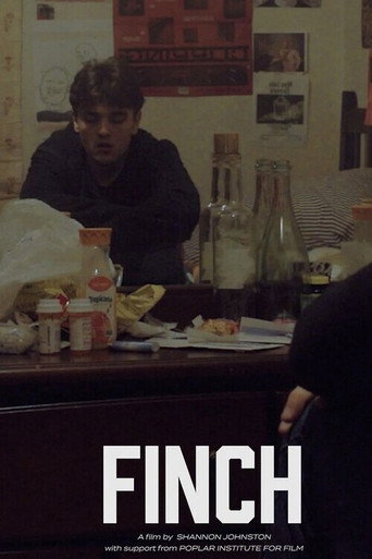 Finch movie poster