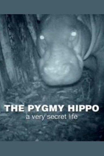 The Pygmy Hippo: A Very Secret Life movie poster