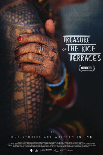 Treasure of the Rice Terraces movie poster